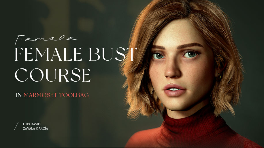 Female Bust Course in Marmoset Toolbag