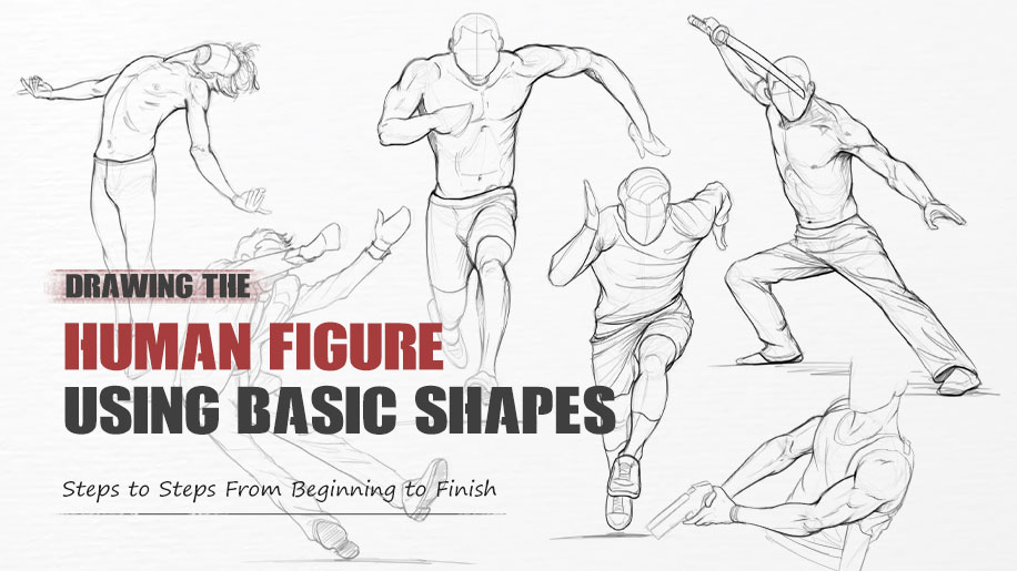 Drawing the Human Figure Using Basic Shapes