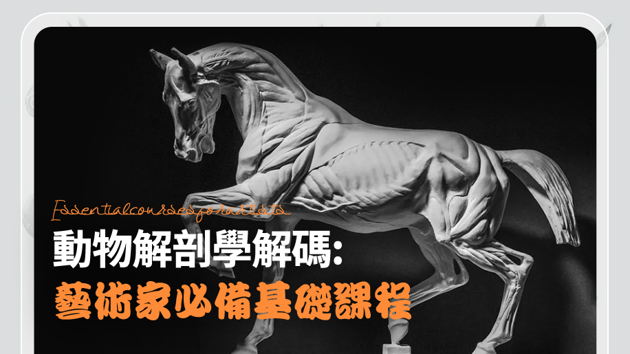 【AI Caption】動物解剖學解碼: 藝術家必備基礎髁程