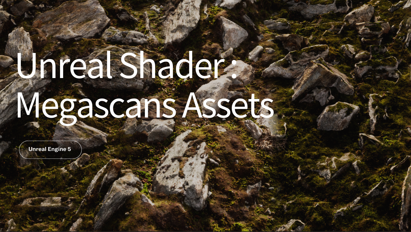 Unreal Shader: Megascan Assets
