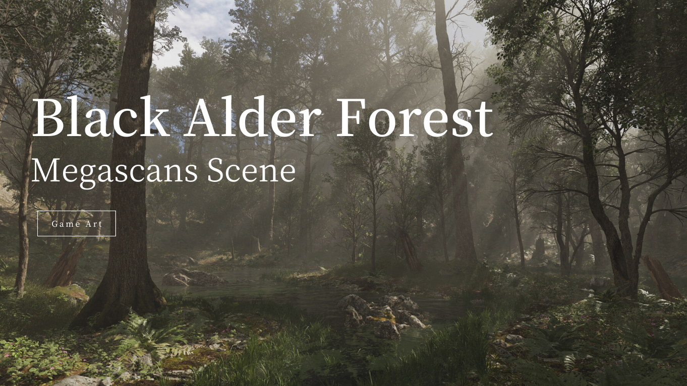 Megascans Scene - Black Alder Forest