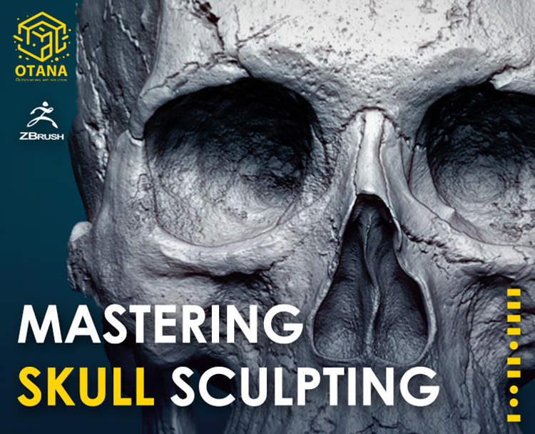 Mastering Skull Sculpting in Zbrush